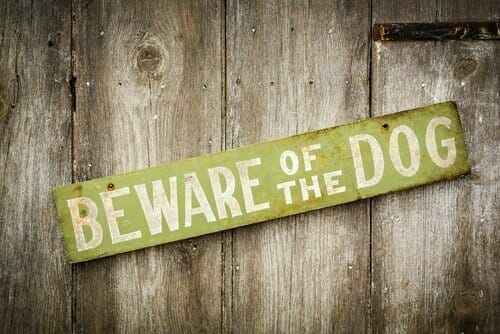 Put Dog Bite Scars Under Cover with Dermaflage