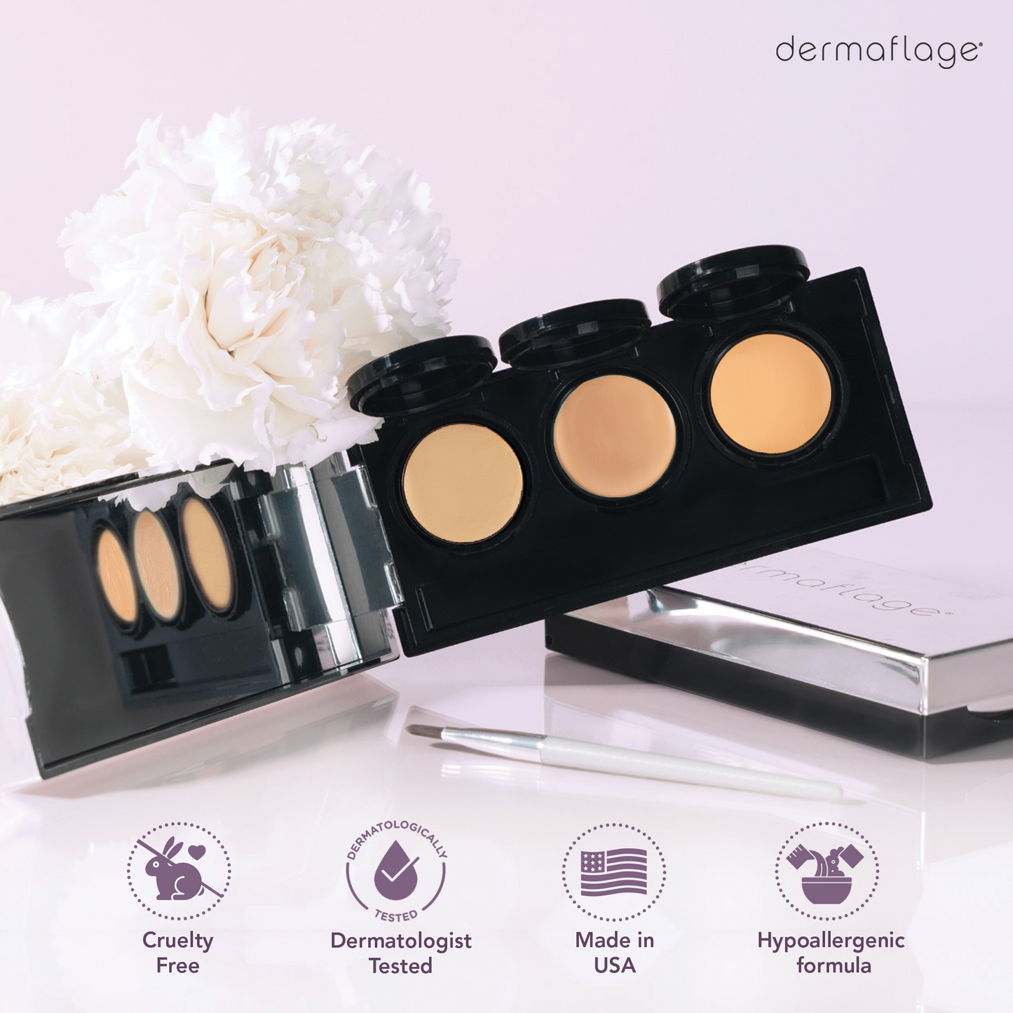 dermaflage pro concealer palette