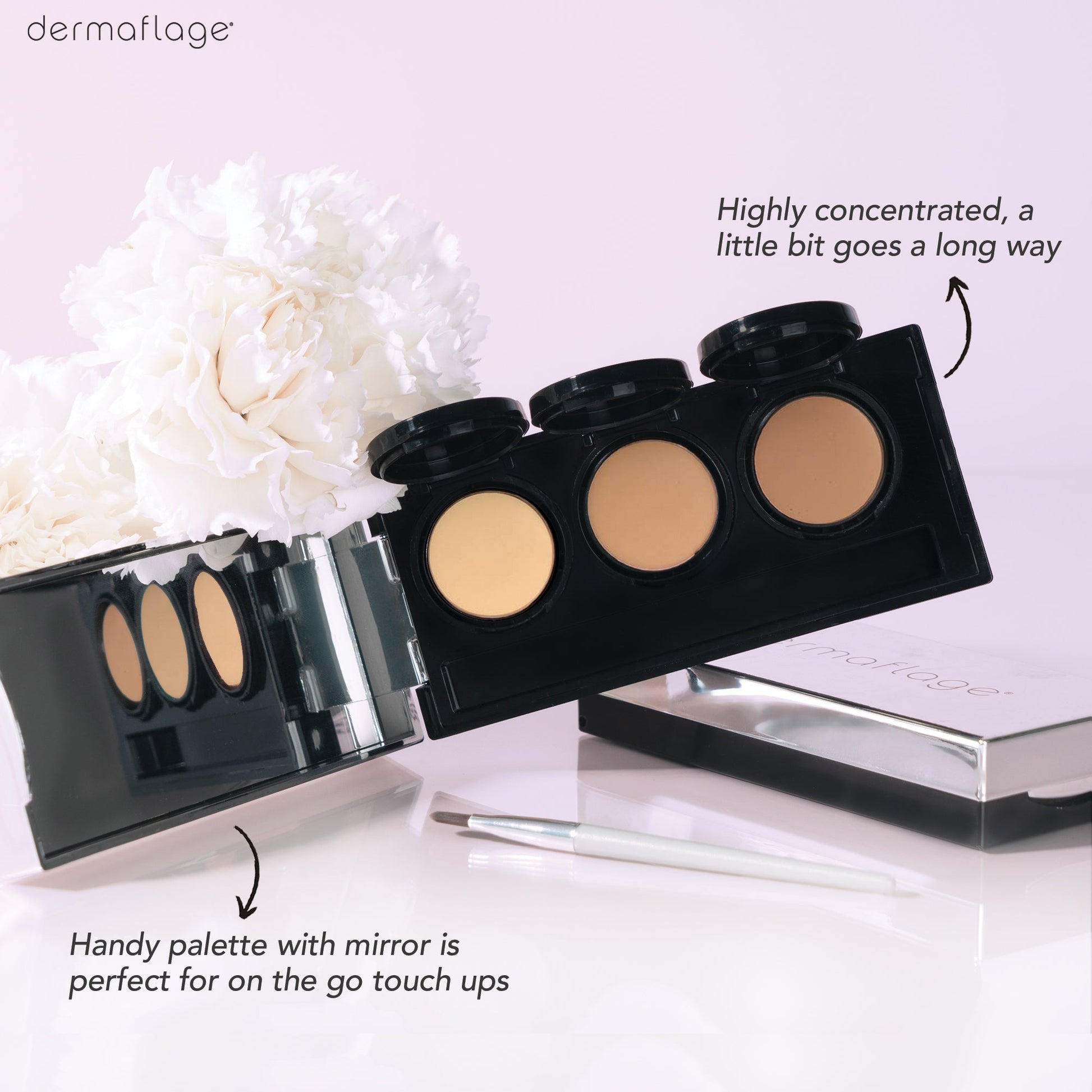 dermaflage pro concealer palette